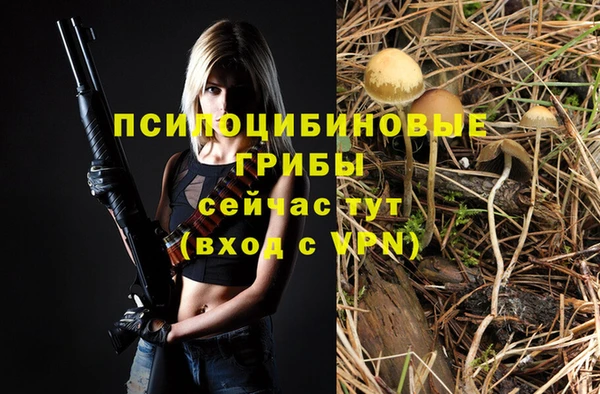 прущая мука Бородино